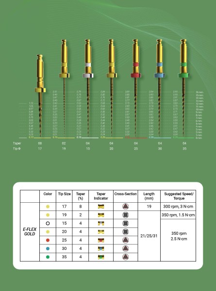 E-FLEX GOLD EN kicsi_Oldal_3